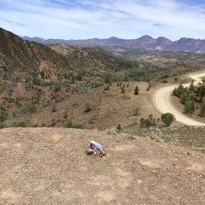 Meet your Posher, Connie